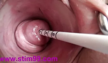 Petite Carmen manhandled მიერ hunk